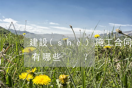 建設(shè)施工合同中標后無效的情形有哪些？